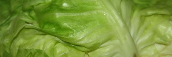 голубцы с индюшатиной, запеченные в сметанном соусе