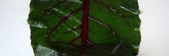 голубцы свекольные