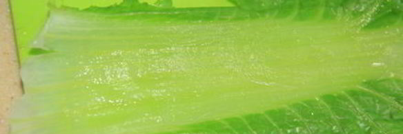 любимые голубцы