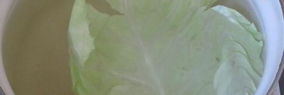 мини-голубцы на шпажках