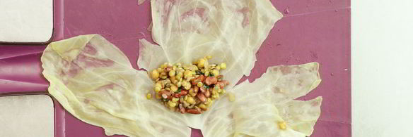 пасуц-долма