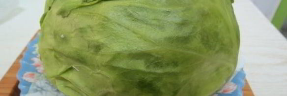 закарпатские голубцы