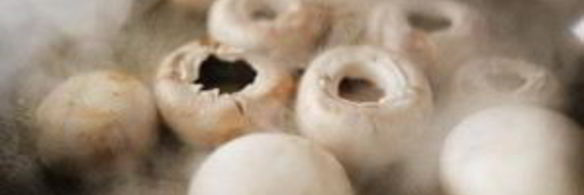 фаршированные грибы с луком