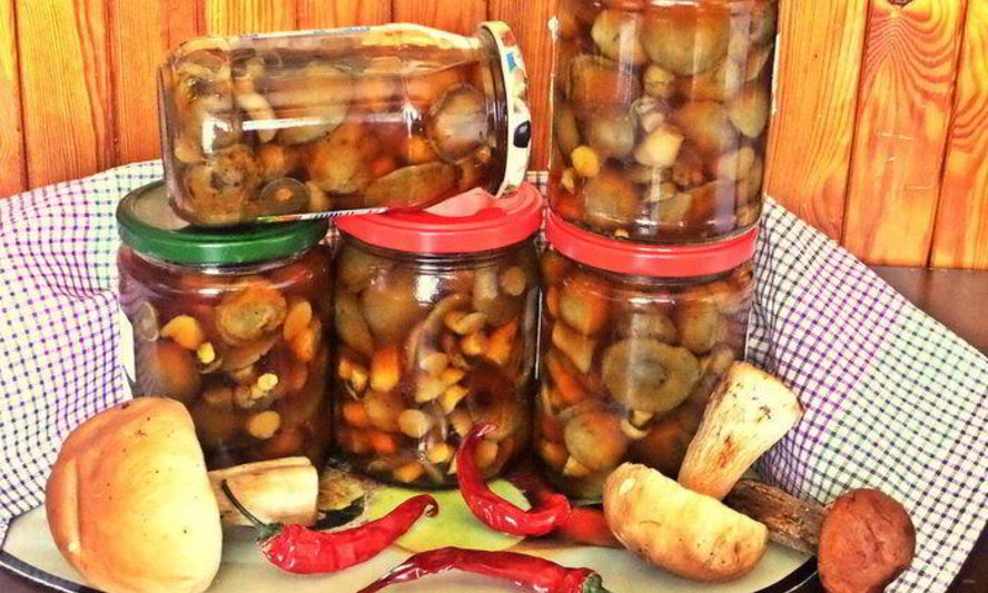 Рецепт грибов в маринаде