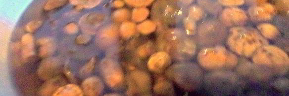 грибы в маринаде