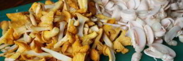 грибы в сливочной заливке