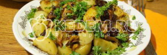 лисички жареные с картофелем