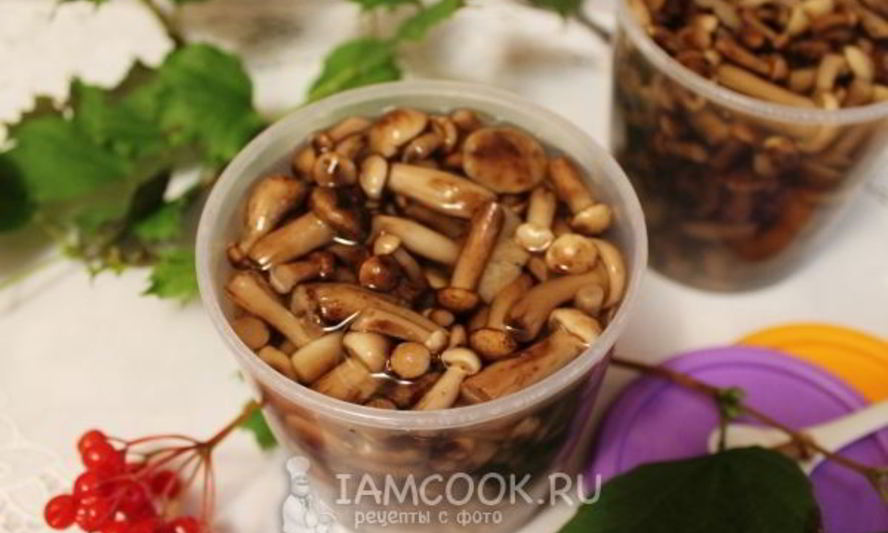 Рецепт опят в сладком маринаде