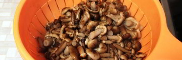 опята в сладком маринаде