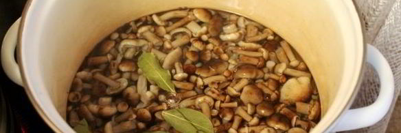 опята в сладком маринаде