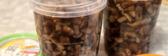 опята в сладком маринаде