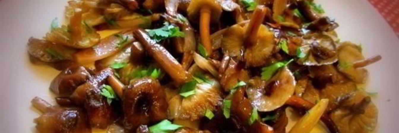 Опята жареные в мультиварке