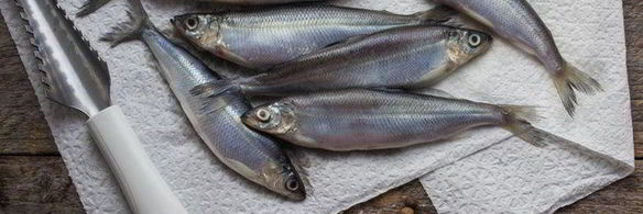 ряпушка жареная