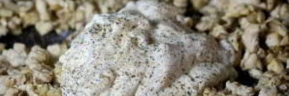 шампиньоны, фаршированные курицей и сыром