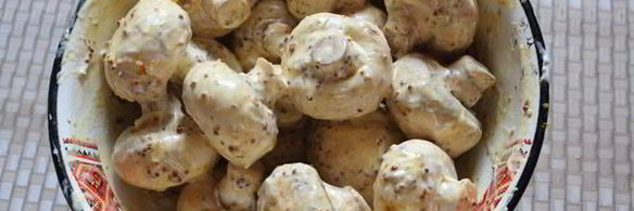 шампиньоны на мангале