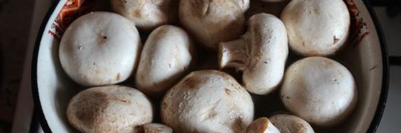 шампиньоны на мангале