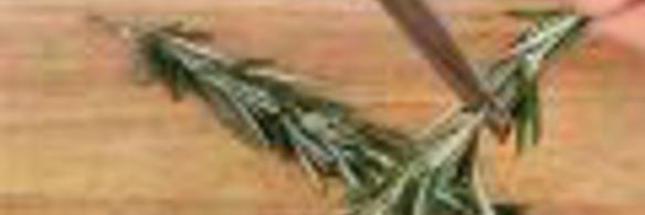 шампиньоны с розмарином и чесноком