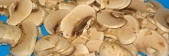 шампиньоны в сливочном соусе