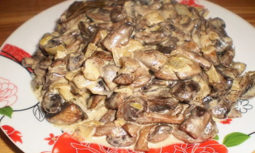 Рецепт вешенок жареных с луком и сметаной