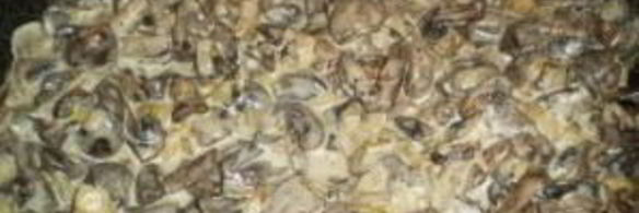 вешенки жареные с луком и сметаной