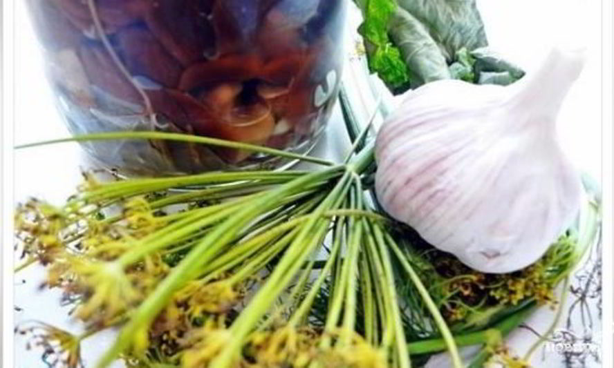 Рецепт волнушек в маринаде