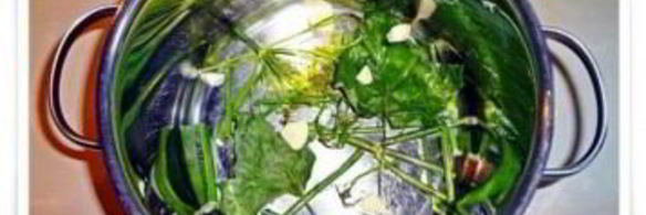 волнушки в маринаде