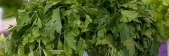 диетические куриные котлеты на пару