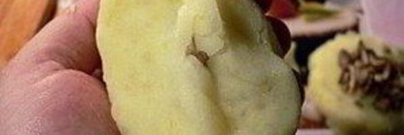 картофельные котлеты с грибами