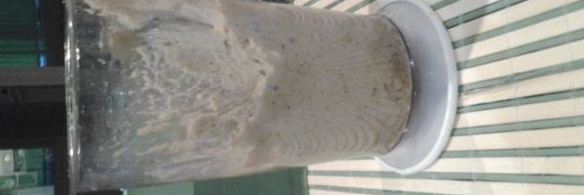 котлеты гороховые