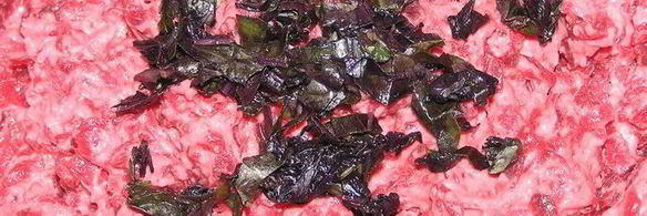 котлеты из свеклы с базиликом