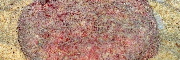 котлеты из свеклы с базиликом