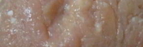 нежные котлеты из фарша