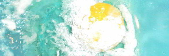 лапша из диких голубей