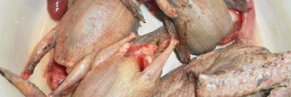 лапша из диких голубей