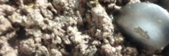 лазанья из савойской капуты