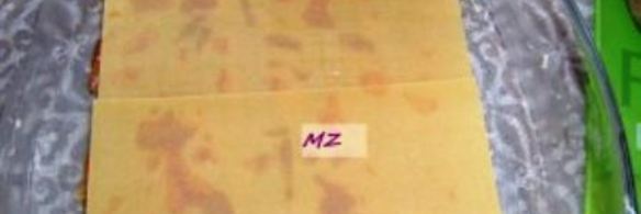 лазанья с пастой zara