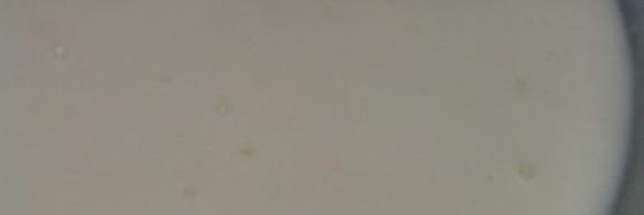 моя мясная лазанья