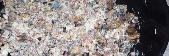 паста конкильони с грибной начинкой