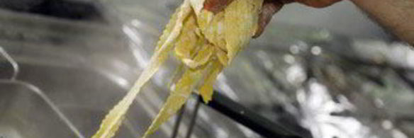 паста папарделле с белыми грибами