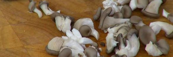 паста с индейкой и грибами