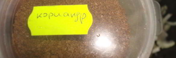 баранина тушеная по-деревенски