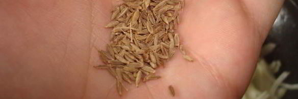 баранина тушеная по-деревенски