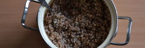 фаршированный гусь