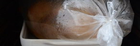 фаршированный гусь