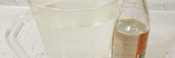 кролик в сметанном соусе