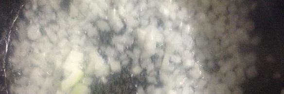 долмодакия — фаршированные цветки цукини и тыквы