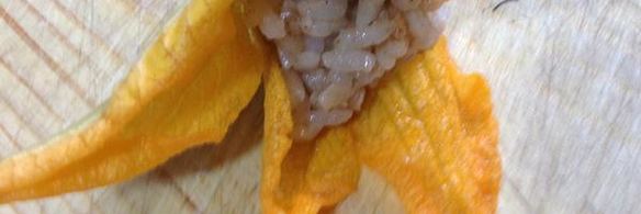 долмодакия — фаршированные цветки цукини и тыквы