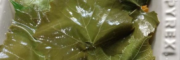 долмодакия — фаршированные цветки цукини и тыквы