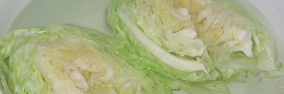 фаршированный кочан любимчик