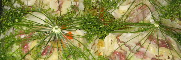 фаршированный кочан любимчик